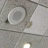 IHOP - their ceiling tiles have live black mold.