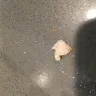 Wendy’s - I found a tooth in my chicken nuggets