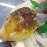 Carrefour - lettuce is rotten