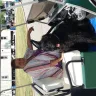 Arby's - treatment I received with my service dog - Photo 1