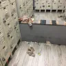 Home Depot - trash, dirty bathrooms, dirty break room, etc. - Photo 10
