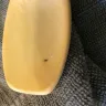 Kraft Heinz - macaroni & cheese - Photo 1