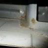 Ford - rust on the underside of my f550 cab - Photo 2