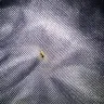 Emirates - lost and damaged bag - Photo 4