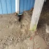 LinerWorld - ripped seam - Photo 1