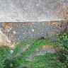 Len The Plumber - repair/replace main sewer pipe from street to house - Photo 1