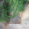 Len The Plumber - repair/replace main sewer pipe from street to house - Photo 2