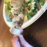 Chipotle Mexican Grill - hair in my taco.
