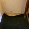 Choice Hotels - econolodge - Photo 1