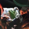 Kraft Heinz - jet puffed marshmallows - Photo 1