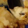 Popeyes - dead fly in the family size mashed potatoes