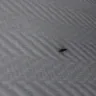 Motel 6 - large and small roaches - Photo 2