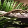 Petco - animal condition - Photo 2