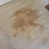 Real Property Management - improper maintenance procedures impacting tenants - Photo 5