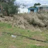 Florida Power & Light [FPL] - debris from power restoration after hurricane - Photo 2