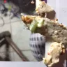 Panera Bread - additional almond chicken salad - Photo 1