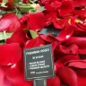 Sam's Club - floral department - Photo 1