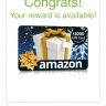 Reward Zone USA - free $1,000.00 amazon gift card - Photo 4