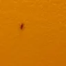 Choice Hotels - hotel room and loss of dinner - Photo 2