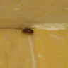 Choice Hotels - hotel room and loss of dinner - Photo 3