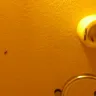Choice Hotels - hotel room and loss of dinner - Photo 5