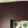Dulux Paints - dulux kitchen + grease and stain protection - Photo 1