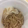 Kraft Heinz - kraft macaroni and cheese - Photo 5