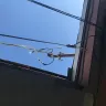 Florida Power & Light [FPL] - power issues and unsafe lines from fpl to my house - Photo 4