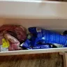 Frigidaire - customer service/quality of product - Photo 7