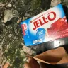 Kraft Heinz - strawberry jell-o - Photo 1