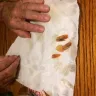 Olive Garden - unethical behaviour and negligence - Photo 1