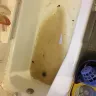 NYC Housing Authority [NYCHA] - maintenance - Photo 1