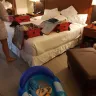 RIU Hotels & Resorts - state of rooms - Photo 18