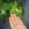 Sheetz - sheetz salad - Photo 1