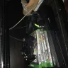 Letgo - I was robbed. stole my xbox one - Photo 1