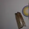 Days Inn - there was actual feces under the bed - Photo 2