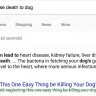 Shih Tzu Factory - lied & won't reimburse: guaranteed pets were free of genetic defects