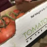 Costco - tomatoes