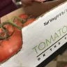 Costco - tomatoes - Photo 1