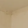 La Quinta Inns & Suites - appearance & non-working toilet/tv - Photo 4