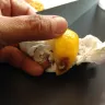 Buffalo Wild Wings - the service and food - Photo 1