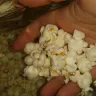 Real Canadian Superstore - pc organics popcorn