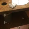 Olive Garden - everything - Photo 2