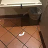 Olive Garden - everything - Photo 3