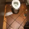 Olive Garden - everything - Photo 6