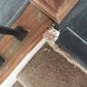 Home Depot - flooring and carpet installation - Photo 1