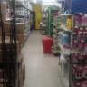 Dollar General - the store