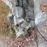 Domino's Pizza - domino driver damaged my property and store is not being responsive the resolve - Photo 1