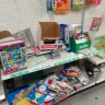 Dollar Tree - the whole store!! - Photo 4
