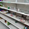 Dollar Tree - the whole store!! - Photo 5